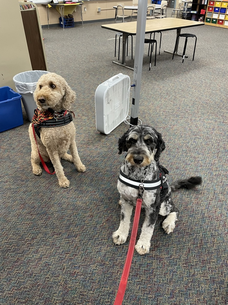 Otis and Mesa