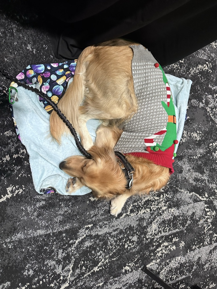 Happy Joes pizza party !