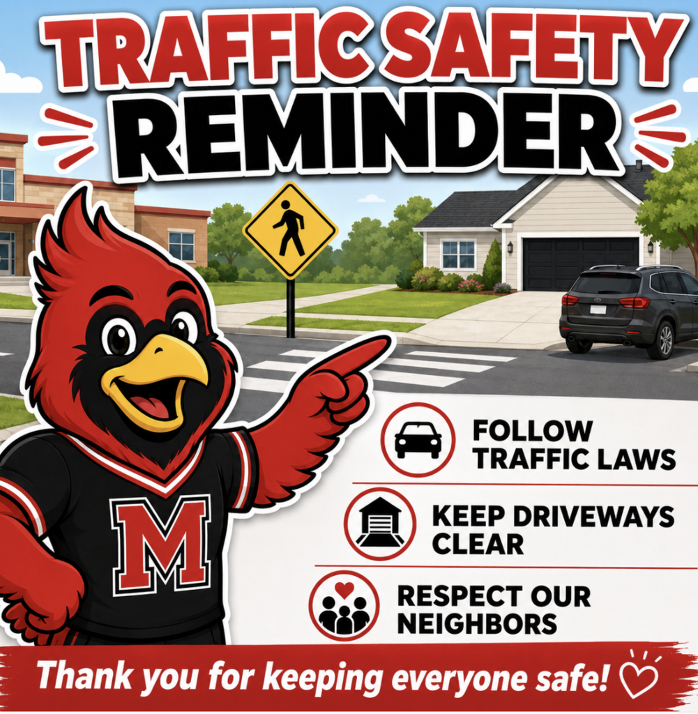 traffic safety