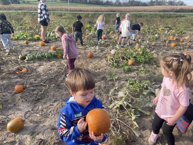 pumpkin
