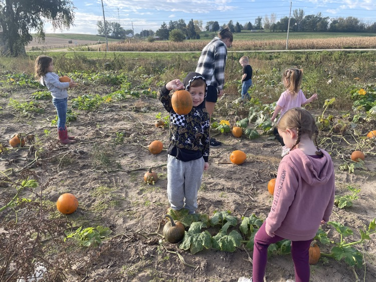 pumpkin