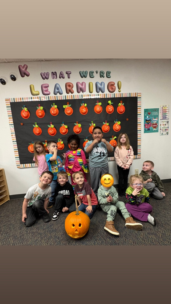 Pumpkin investigating! 