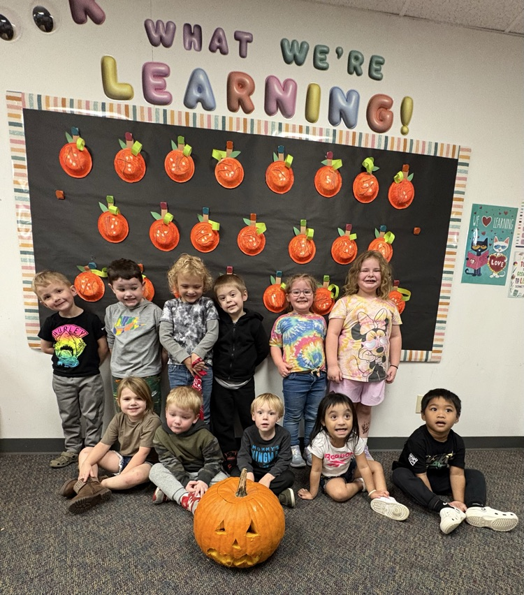 Pumpkin investigating! 