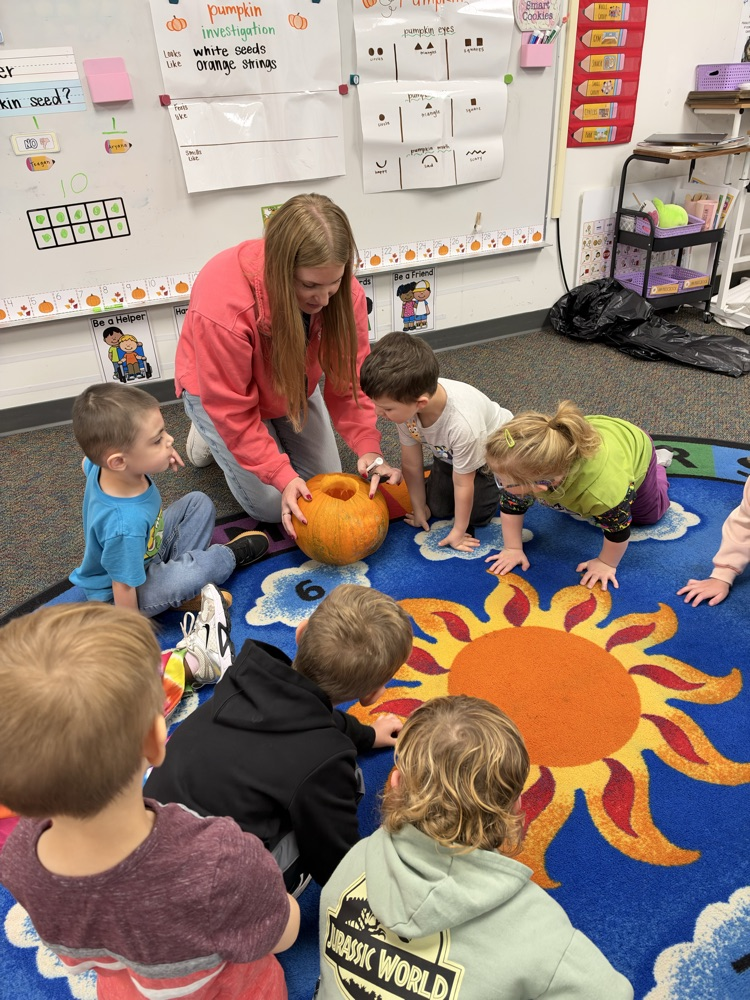 Pumpkin investigating! 
