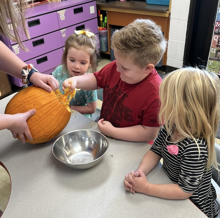 pumpkin carve