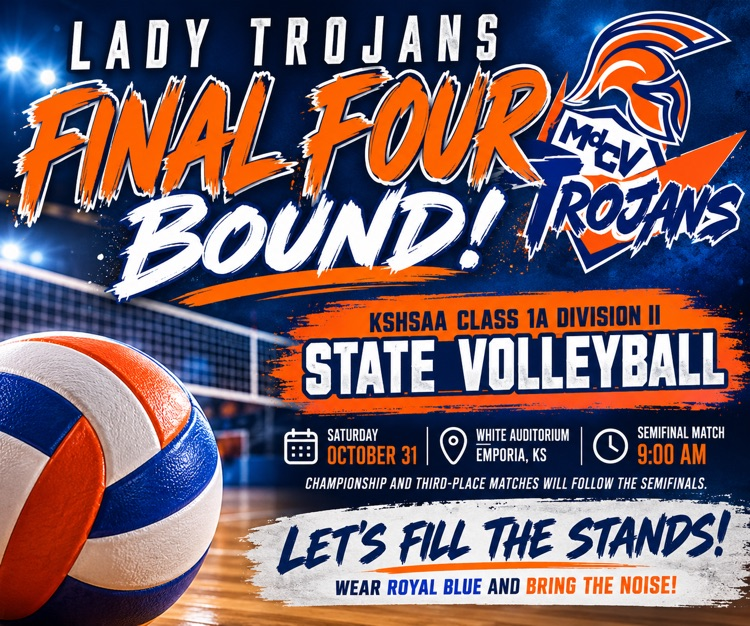 state volleyball 