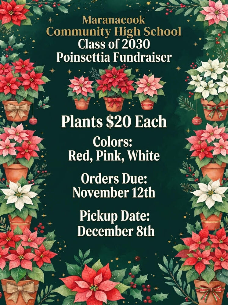 Poinsettia Flyer