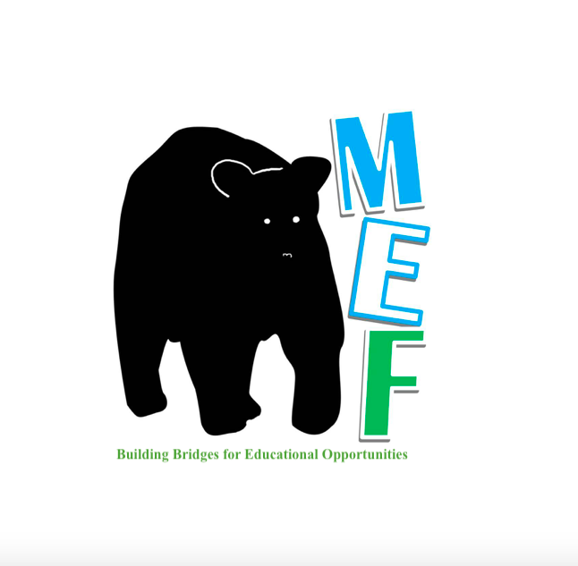 mef logo