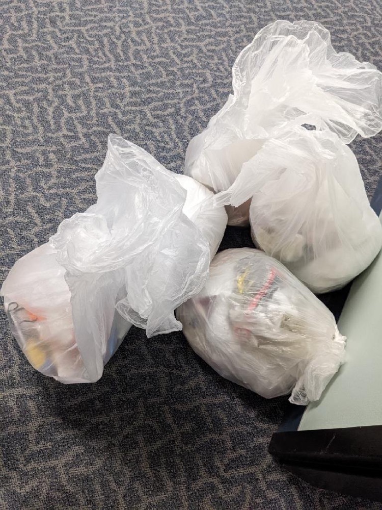 More trash pick up. 7 bags total!!