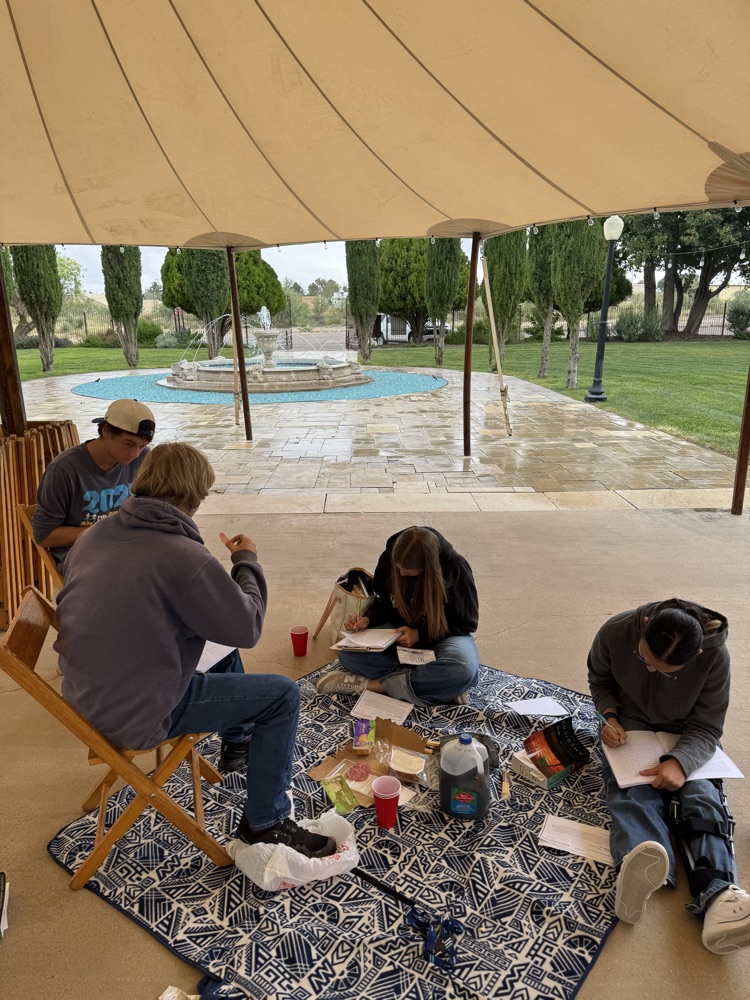 mustangs learning