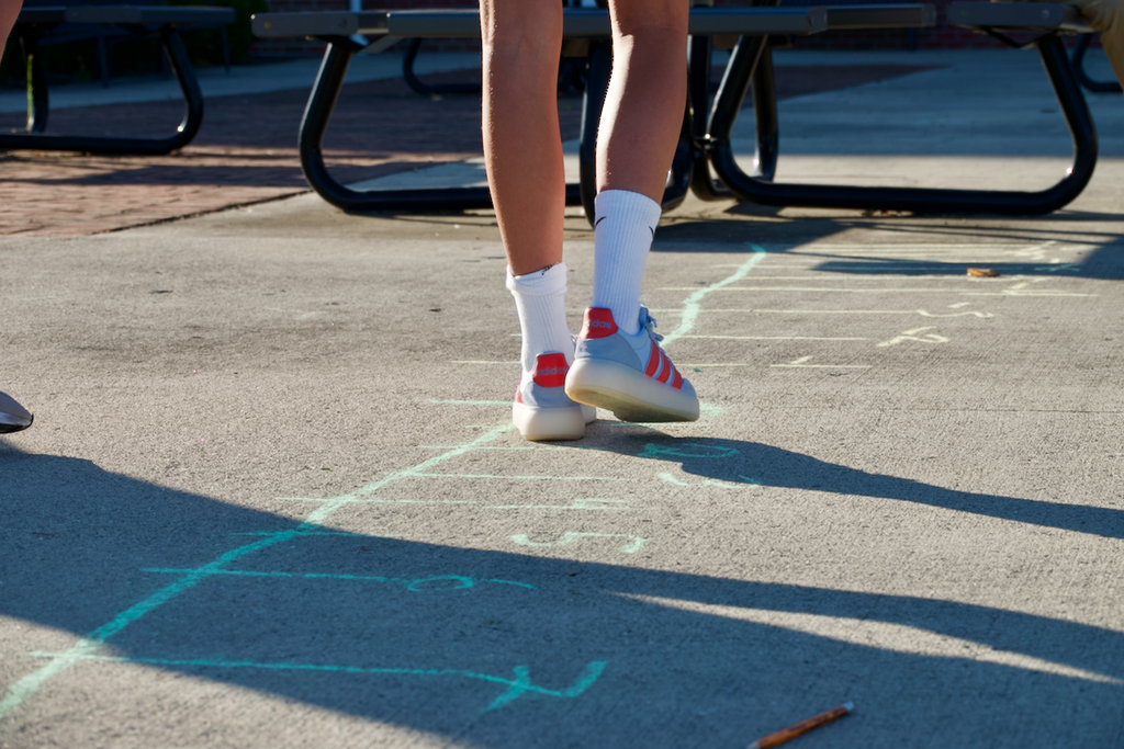 Middle division Number Line Activity