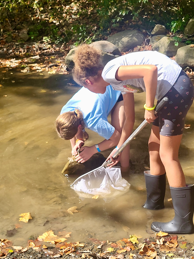 Students looking at something on a rock in a creek. One students is holding a net.