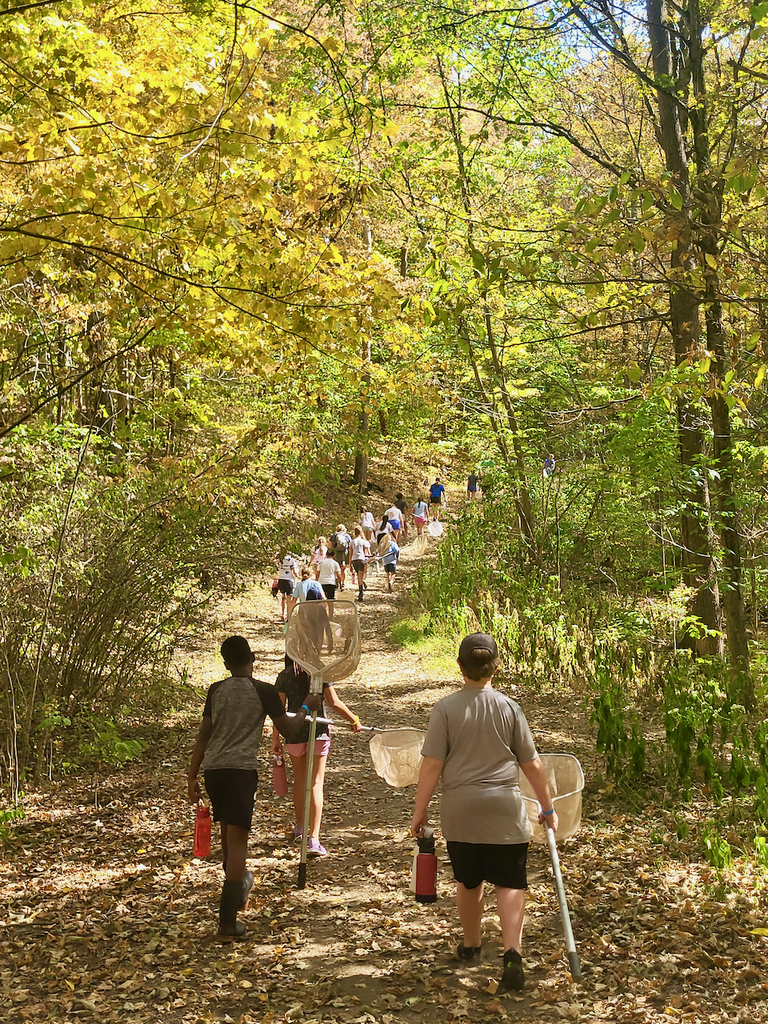 Students walking on a path in the woods in a single file line, carrying nets.