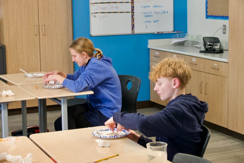 2026_02_MD Tectonics_24