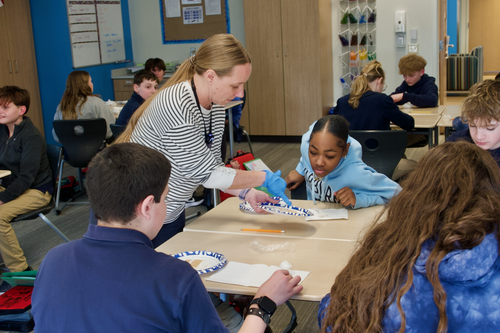 2026_02_MD Tectonics_13