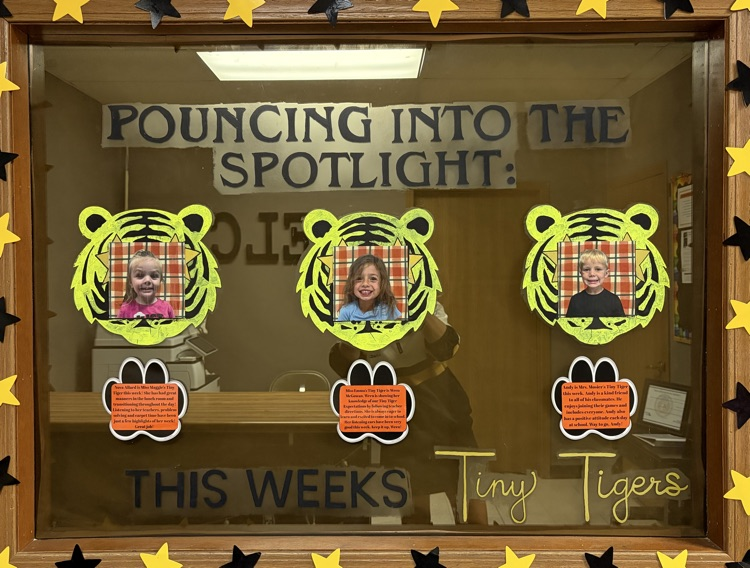 ELC Tiny Tigers! 