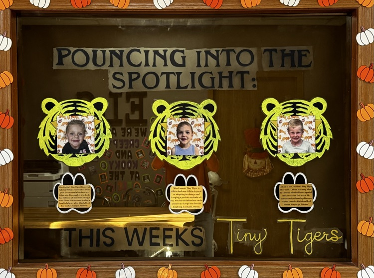 ELC Tiny Tigers!