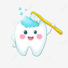 tooth