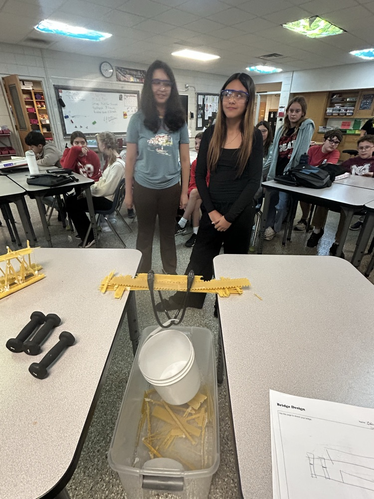 Testing Bridges 