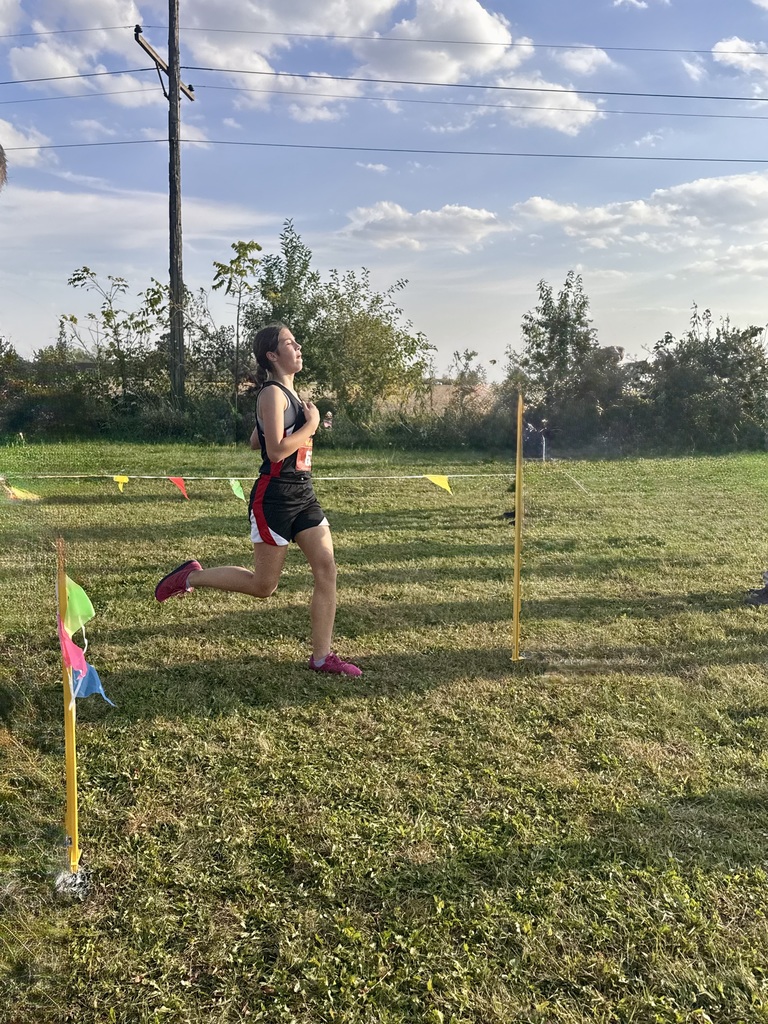 girl places 12th in cross country confernece