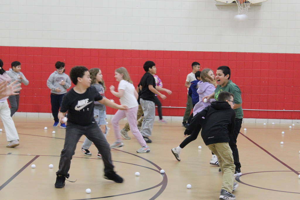 Indoor Snowball fight