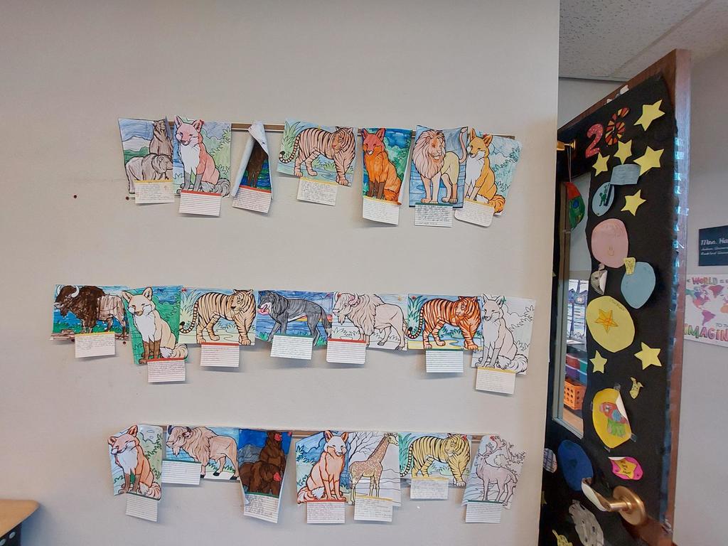 4th grade