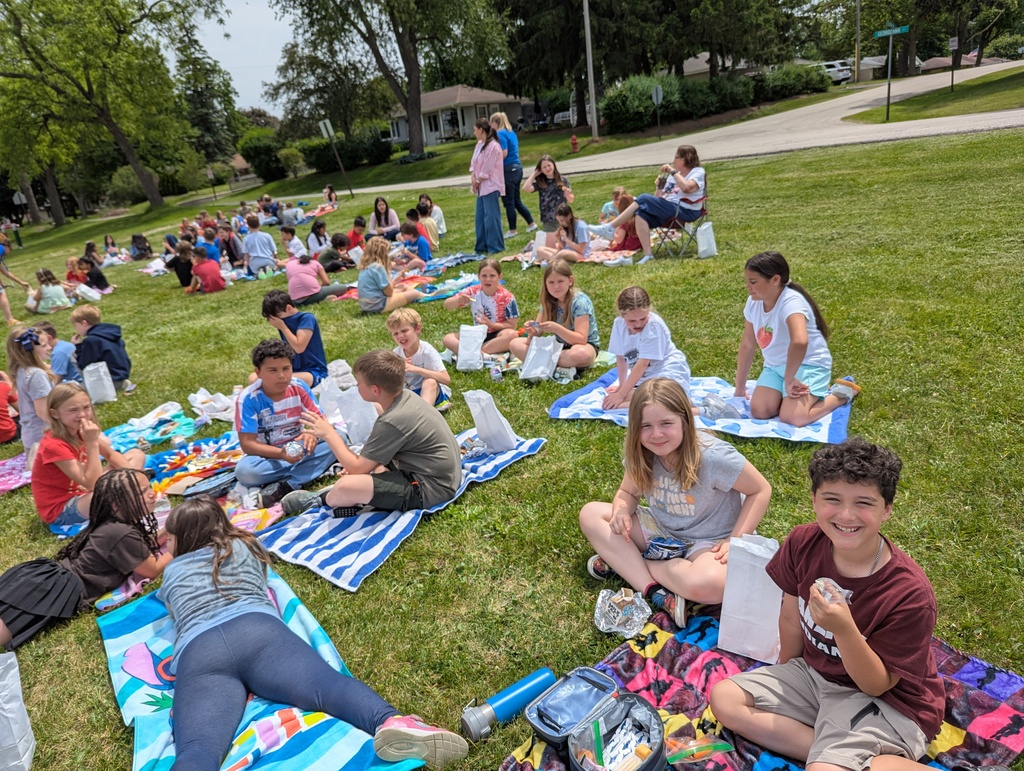 picnic