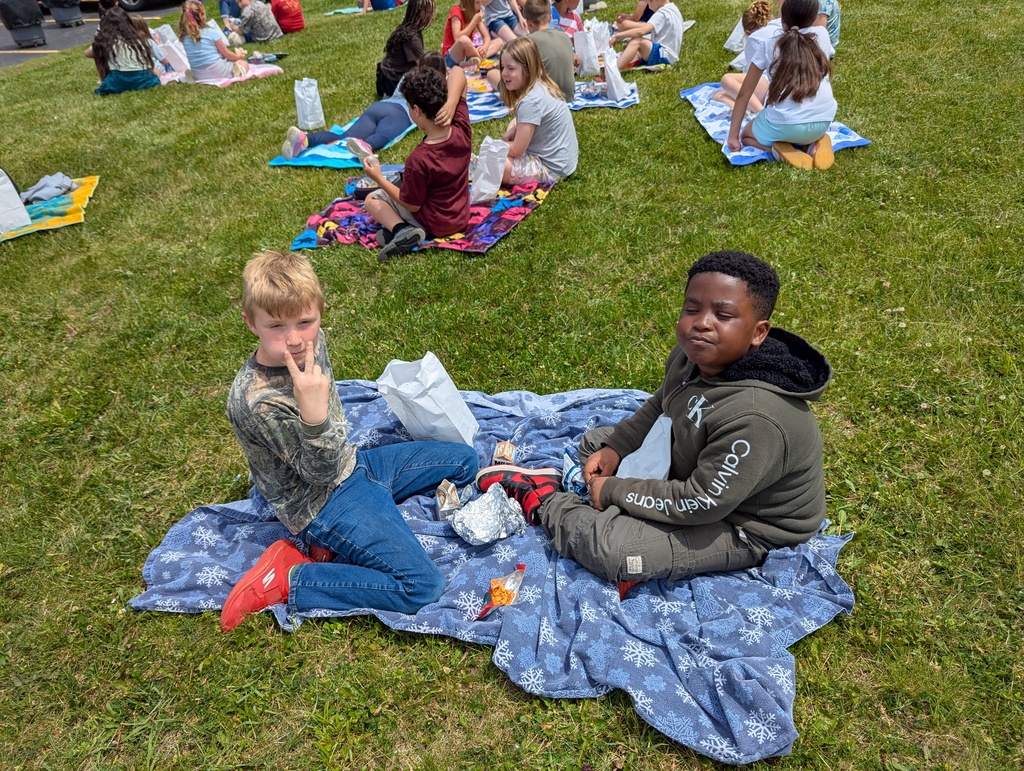 picnic