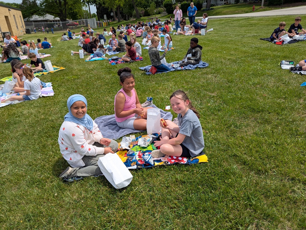 picnic
