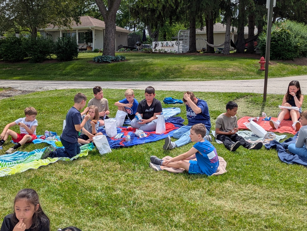 picnic