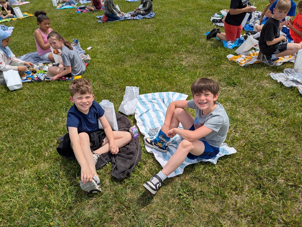 picnic