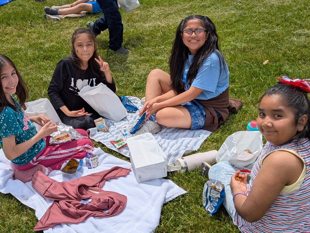 picnic