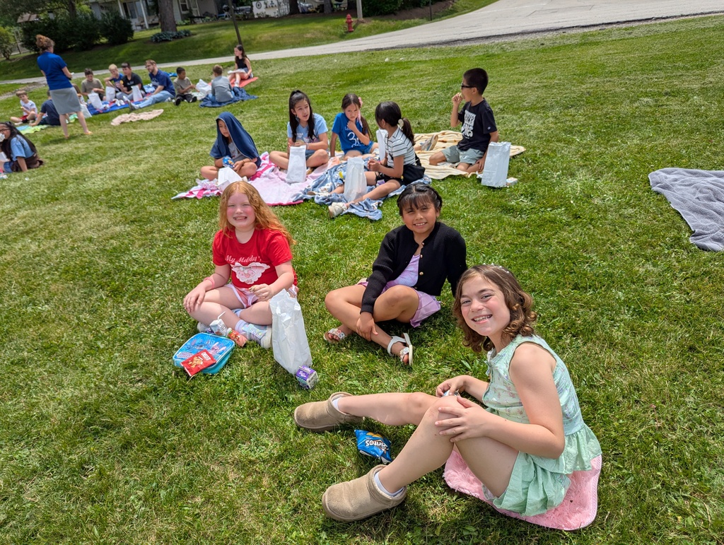 picnic