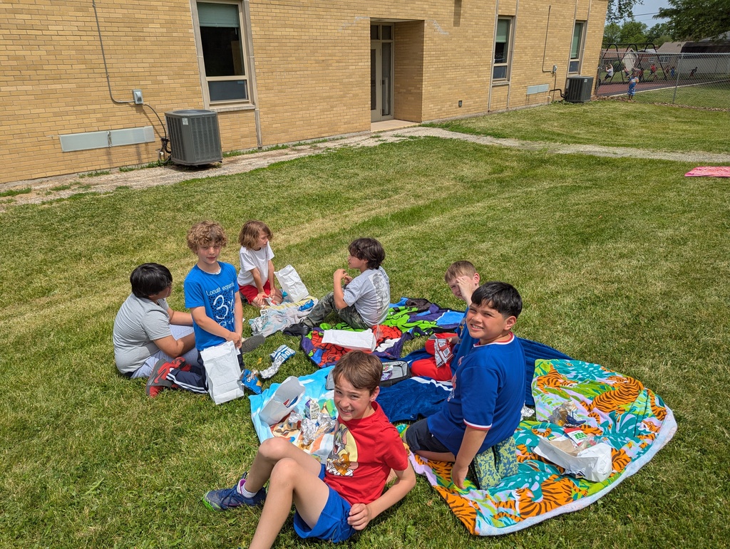 picnic