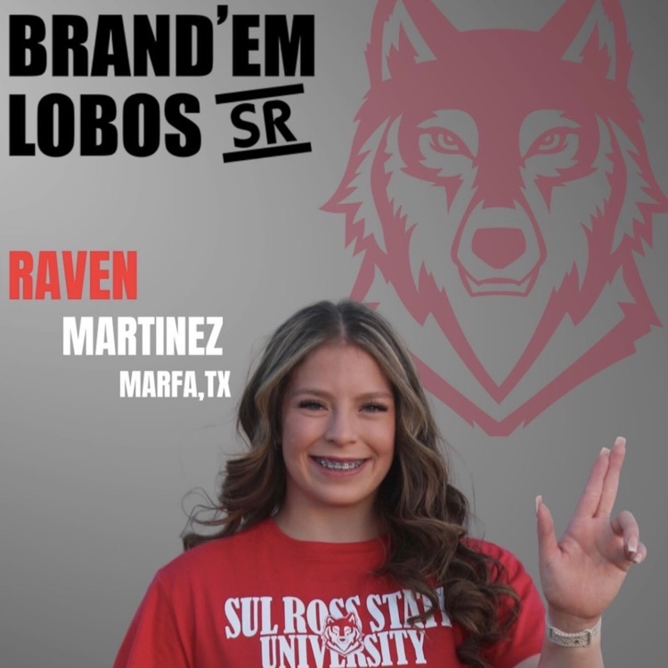 MISD
