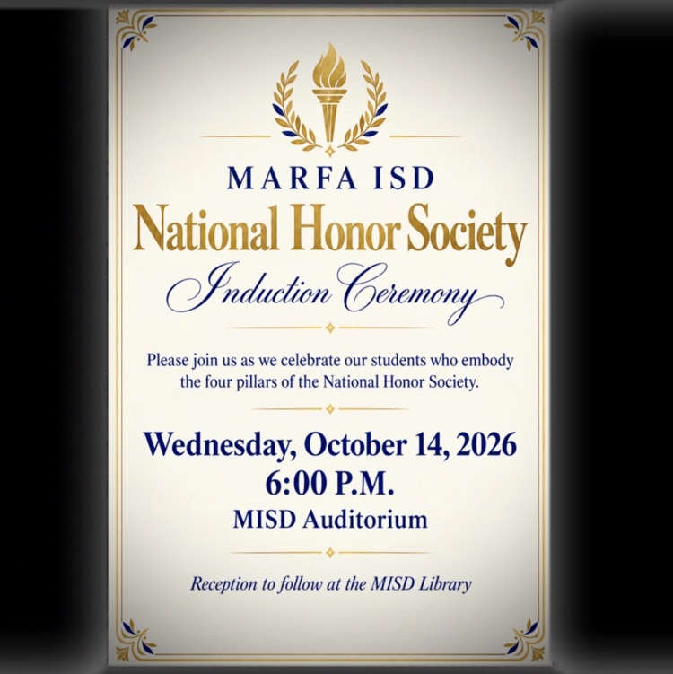 MISD