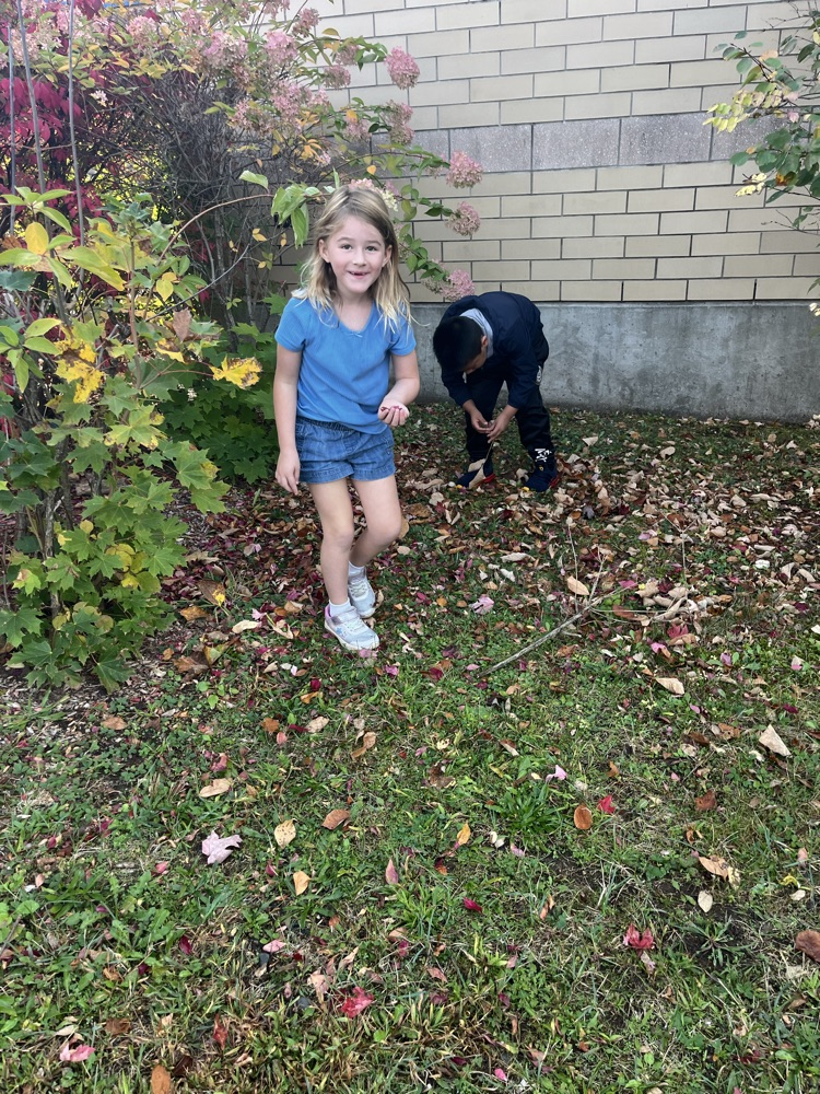 collecting leaves