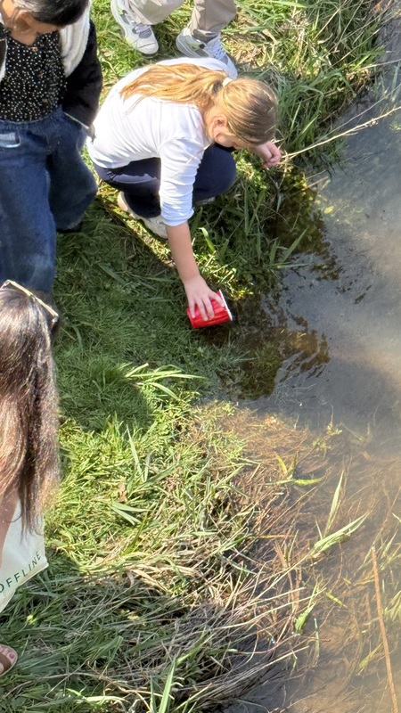Release