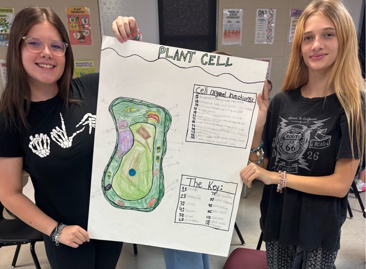 cell