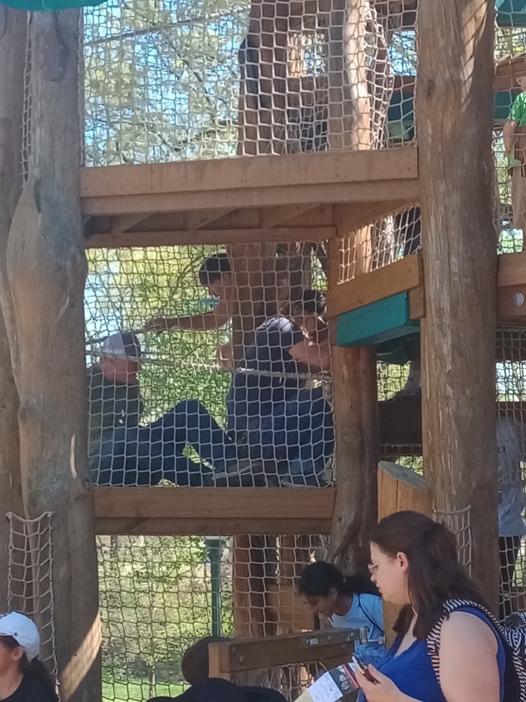 zoo