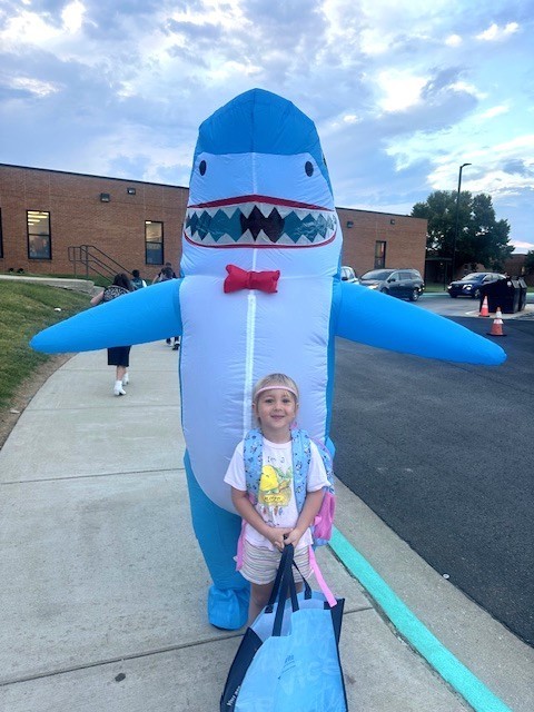 Shark