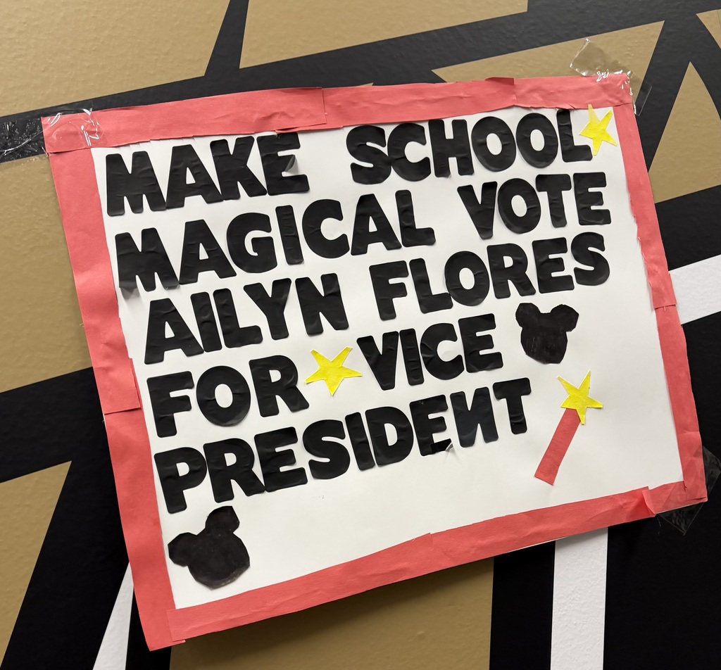 Voting is happening for student council this week. The pictures are of the Student Council candidate posters