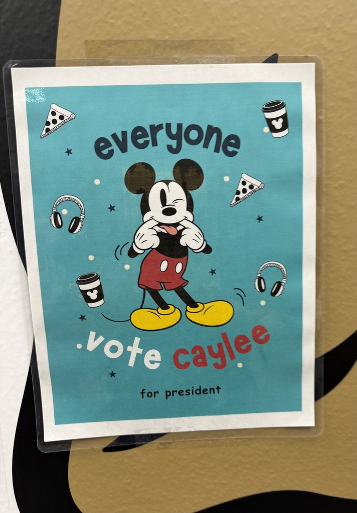 Voting is happening for student council this week. The pictures are of the Student Council candidate posters