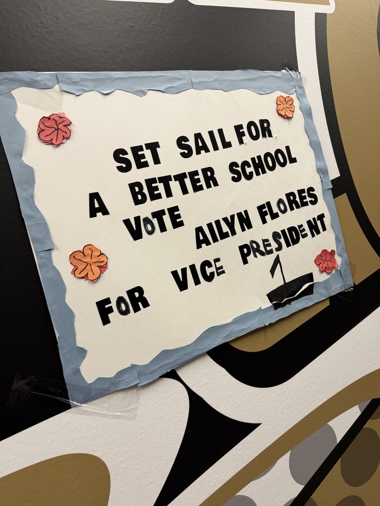 Voting is happening for student council this week. The pictures are of the Student Council candidate posters