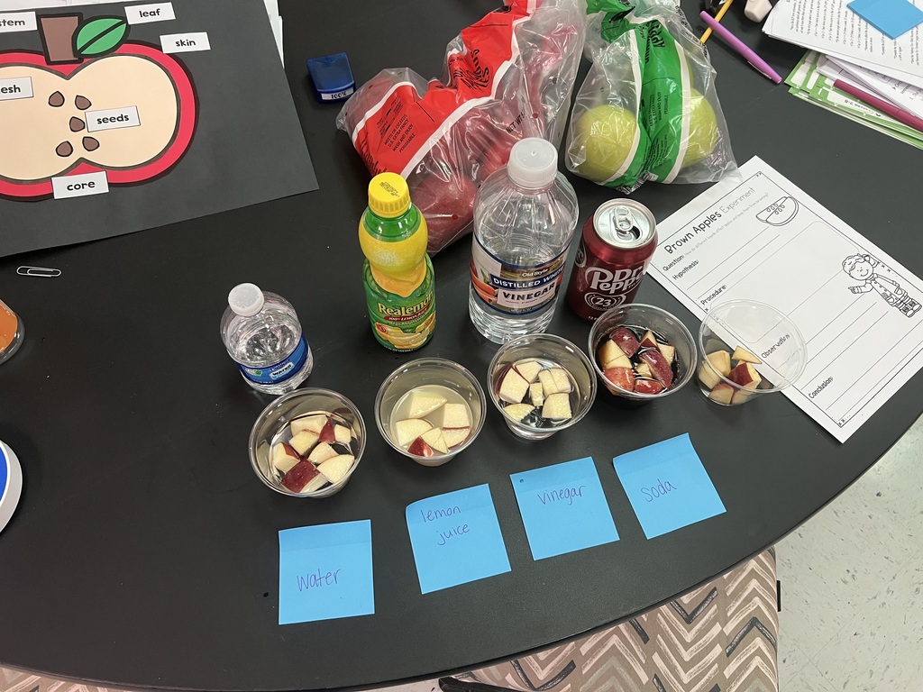 students doing apple experiment