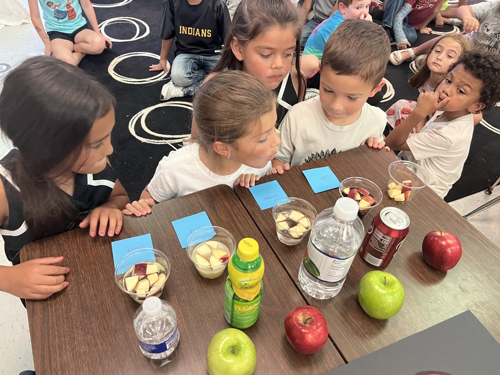 students doing apple experiment