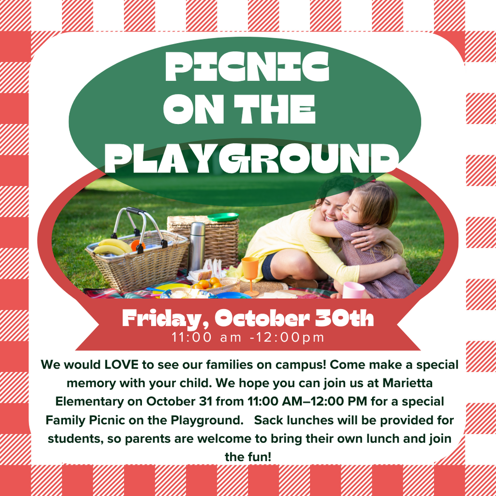 Picnic on Playground Invite
