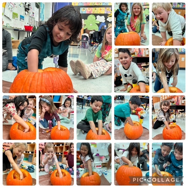 kids exploring pumpkins in class