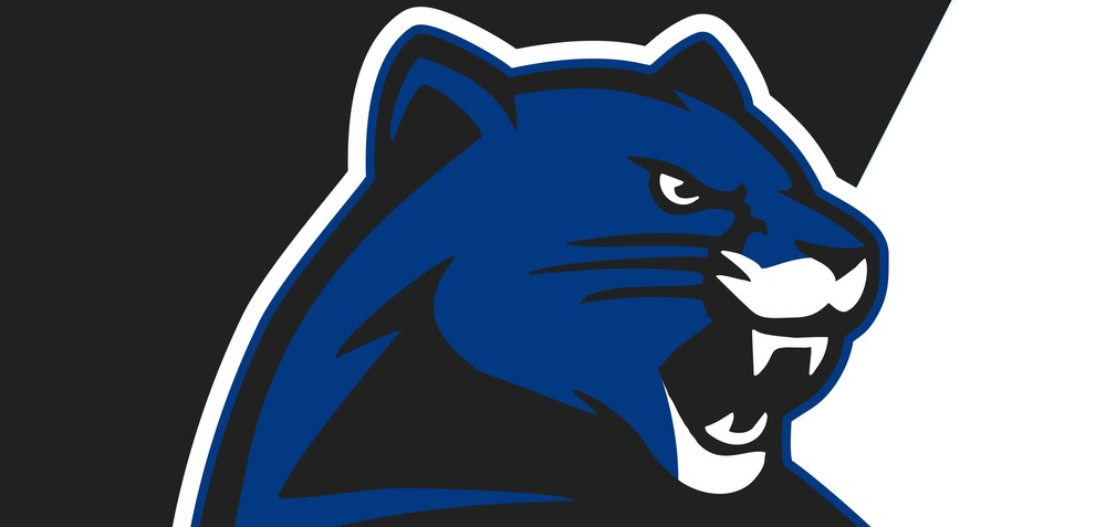 panther