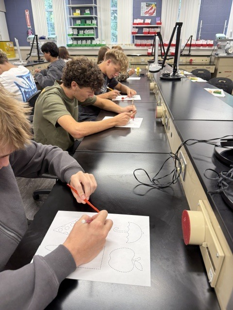 students